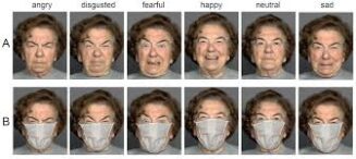 Masks-and-Expressions