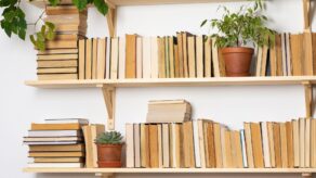 Shelves with books and house plants